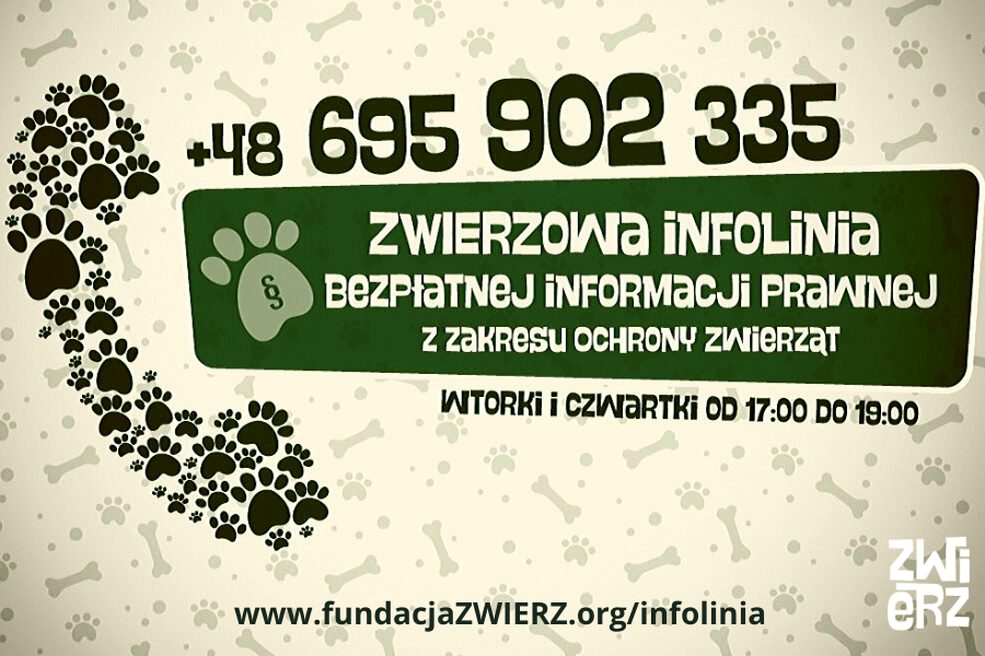 info_infolinia
