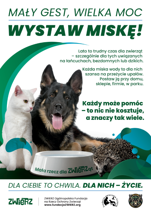 kampania woda