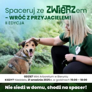 spaceruj ze zwierzem