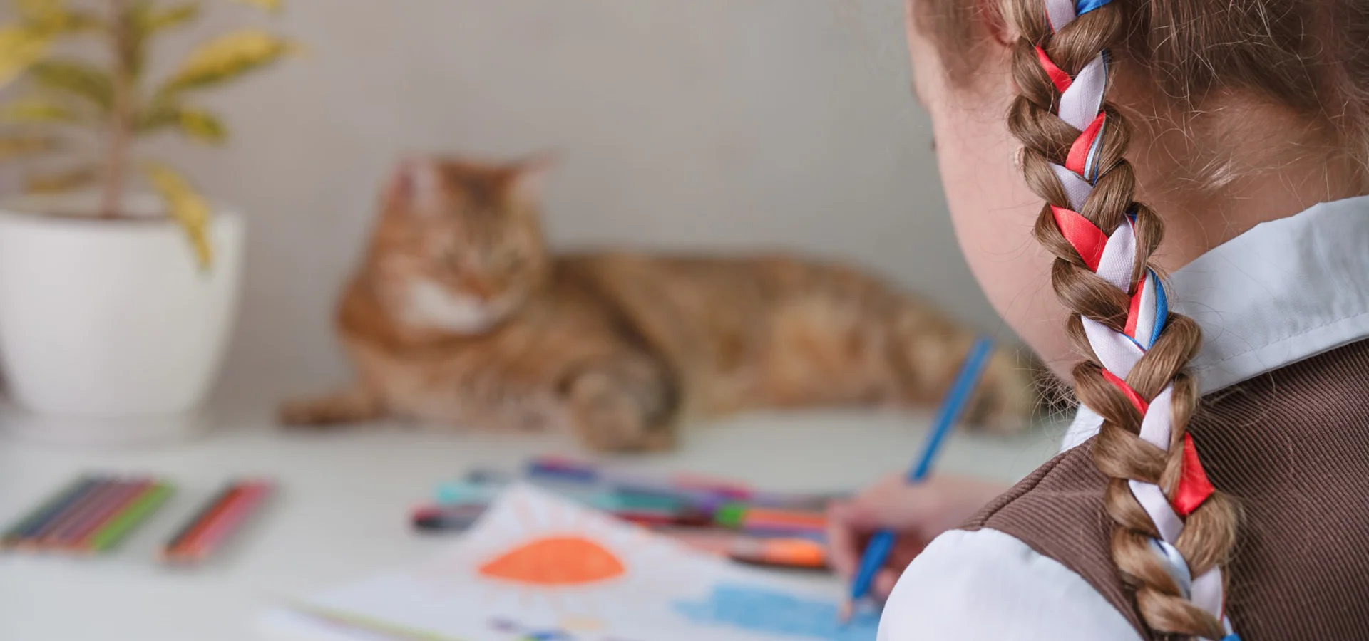 Zostań domem tymczasowym