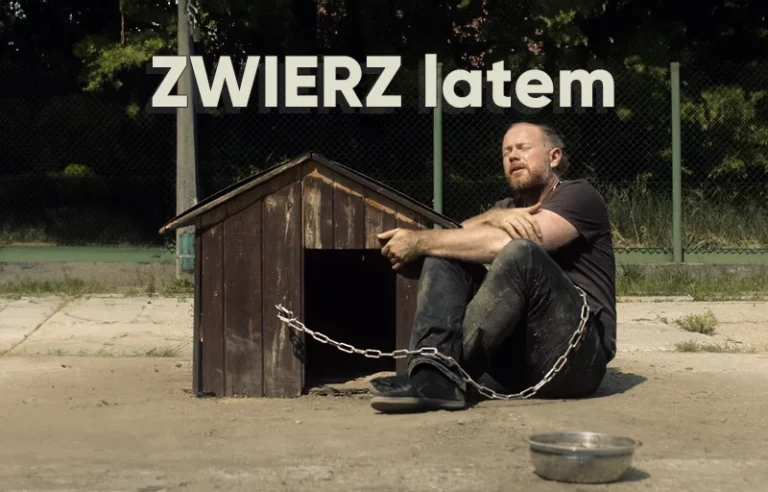 Zwierz latem
