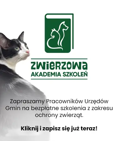 Zwierzowa akademia szkoleń
