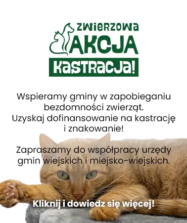Zwierzowa akcja kastracja