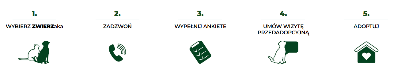 Adopcja w kilku prostych krokach!