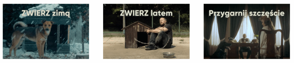 kampanie medialne zwierz