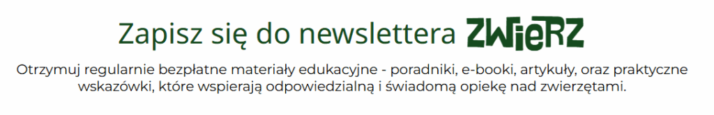 newsletter zwierz