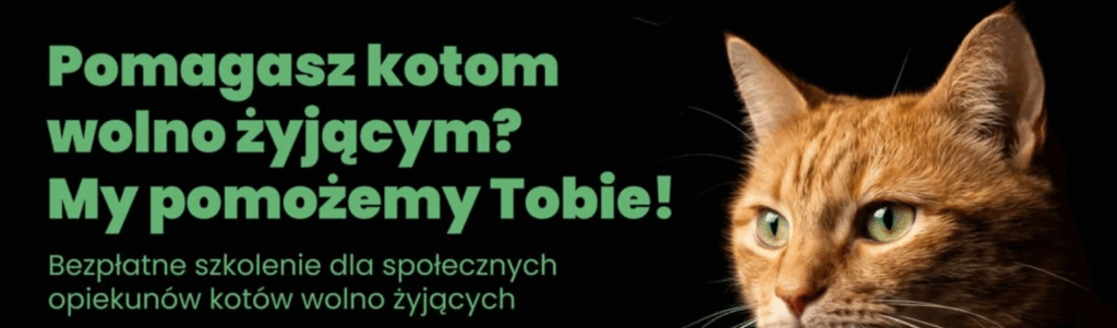 Podnoszenie wiedzy i rozwijanie współpracy pomiędzy samorządami,